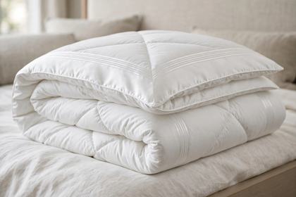 Comforter / Duvet — full view